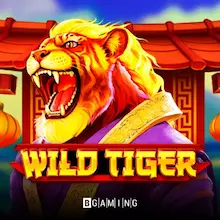 Wild Tiger